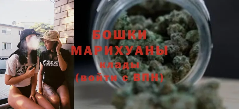 Конопля Bruce Banner  Апшеронск 